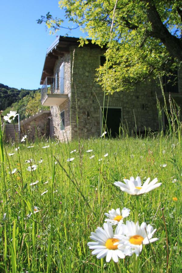 Ca Del Gari Villa Tremosine Dış mekan fotoğraf